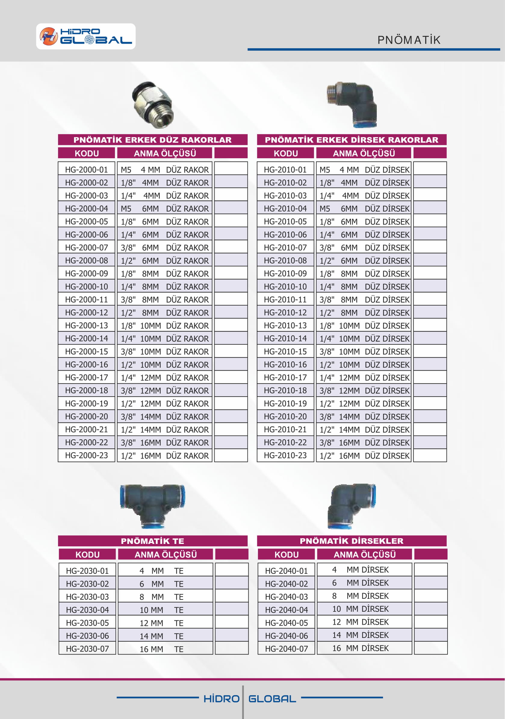 PNÖMATiK ERKEK RAKORLAR